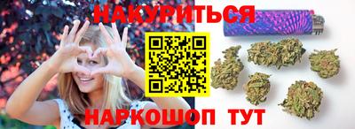 сатива Тверь