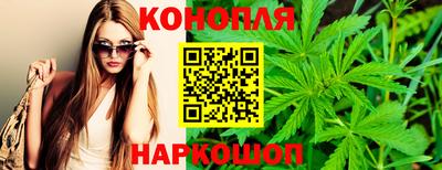мдпв Татарск