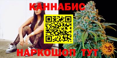 сатива Тверь