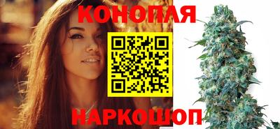 сатива Тверь