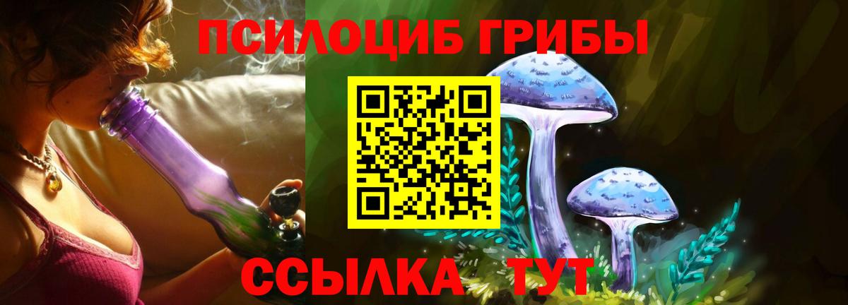 Галлюциногенные грибы мицелий  цена наркотик  Псилоцибиновые грибы Magic Shrooms  Миллерово  Вход с VPN 